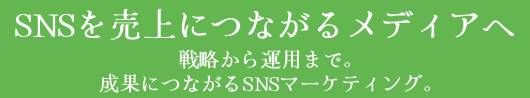 �o�^�̗���